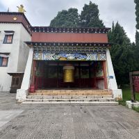 評論圖片 7