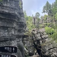 評論圖片 1