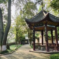 評論圖片 8