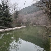 評論圖片 4