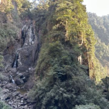 評論圖片 8