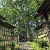 評論圖片 7