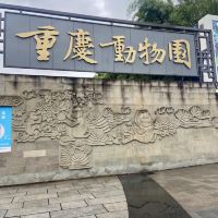 評論圖片 1