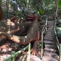 評論圖片 9