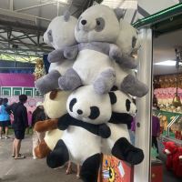 評論圖片 4