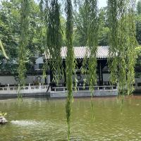 評論圖片 6