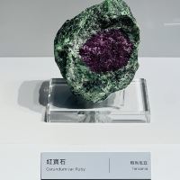 評論圖片 3