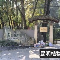 評論圖片 1