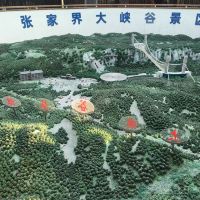 評論圖片 4