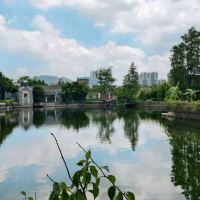 評論圖片 4