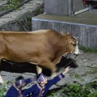評論圖片 5