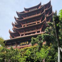 評論圖片 2