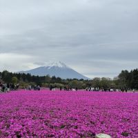 評論圖片 6