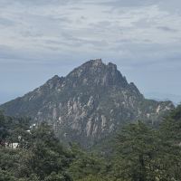 評論圖片 5