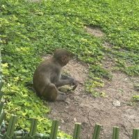 評論圖片 2