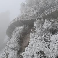 評論圖片 6