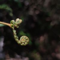評論圖片 6