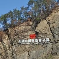 評論圖片 1