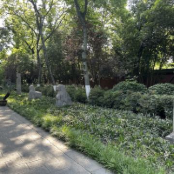 評論圖片 4