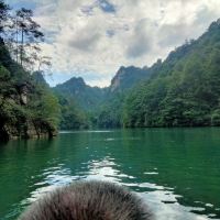 評論圖片 4