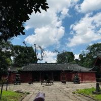 評論圖片 2