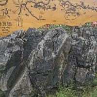 評論圖片 5