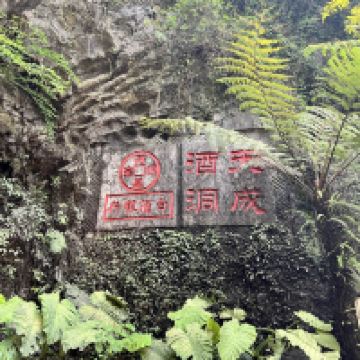 評論圖片 8