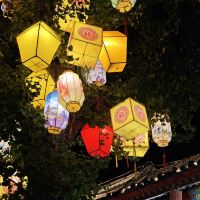 評論圖片 1