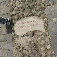 評論圖片 6