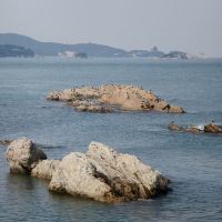 評論圖片 1
