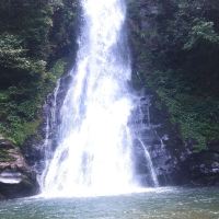 評論圖片 3