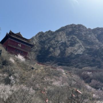 評論圖片 7