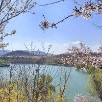 評論圖片 3