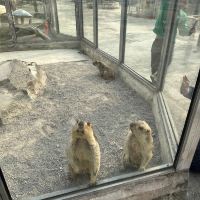 評論圖片 6