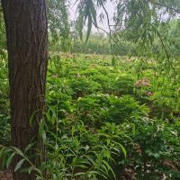 評論圖片 3