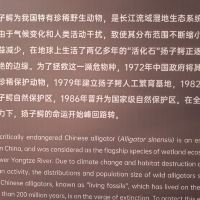 評論圖片 9