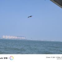 評論圖片 3