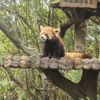 評論圖片 3