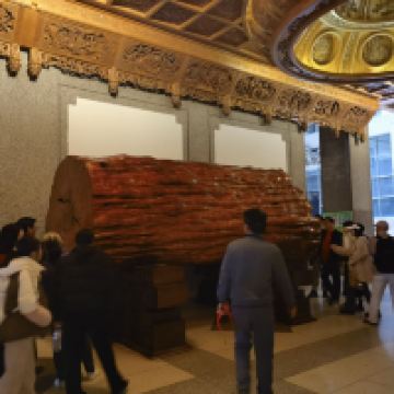 評論圖片 7