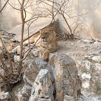 評論圖片 2