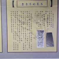 評論圖片 3