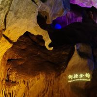評論圖片 8
