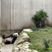 評論圖片 1