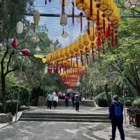 評論圖片 9