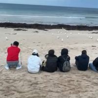 評論圖片 2