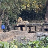 評論圖片 4
