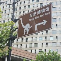 評論圖片 3