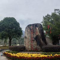評論圖片 5