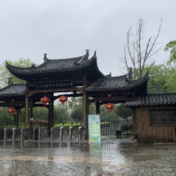 評論圖片 7