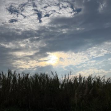評論圖片 2